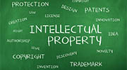 Slovakia intellectual property rights investigator